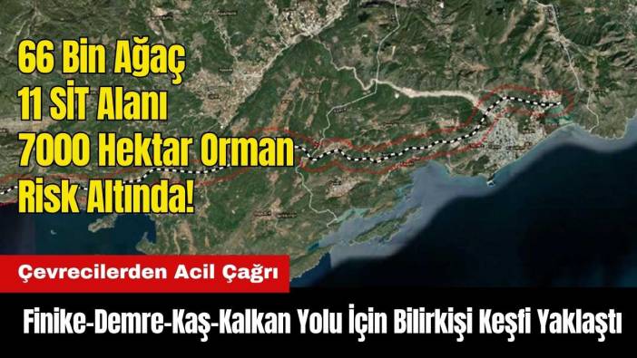 Finike-Demre-Kaş-Kalkan Yolu İçin Bilirkişi Keşfi Yaklaştı! Çevrecilerden Acil Çağrı
