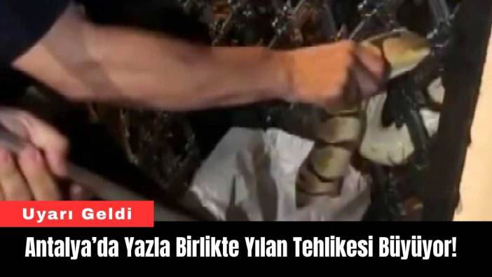 Antalya’da Yazla Birlikte Yılan Tehlikesi Büyüyor! Uyarı Geldi