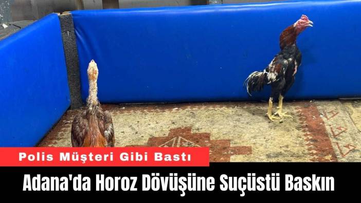 Adana'da Horoz Dövüşüne Suçüstü Baskın