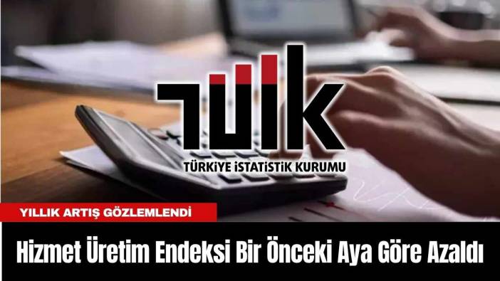 Hizmet Üretim Endeksi Bir Önceki Aya Göre Azaldı