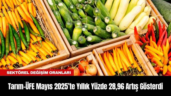 Tarım-ÜFE Mayıs 2025’te Yıllık Yüzde 28,96 Artış Gösterdi