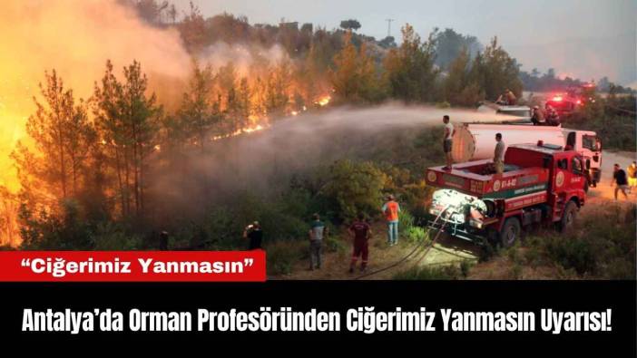 Antalya’da Orman Profesöründen Ciğerimiz Yanmasın Uyarısı!