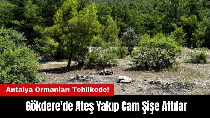 Antalya Ormanları Tehlikede! Gökdere'de Ateş Yakıp Cam Şişe Attılar