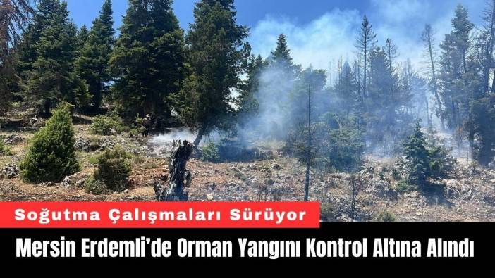 Mersin Erdemli’de Orman Yangını Kontrol Altına Alındı