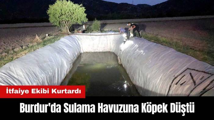 Burdur'da Sulama Havuzuna Köpek Düştü