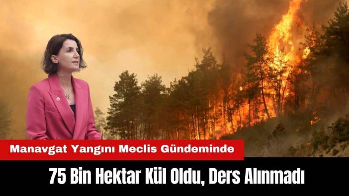 Manavgat Yangını Meclis Gündeminde: 75 Bin Hektar Kül Oldu, Ders Alınmadı