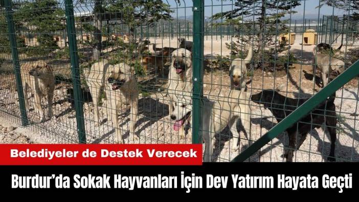 Burdur’da Sokak Hayvanları İçin Dev Yatırım Hayata Geçti