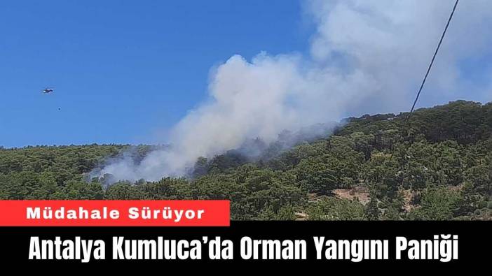 Antalya Kumluca’da Orman Yangını Paniği