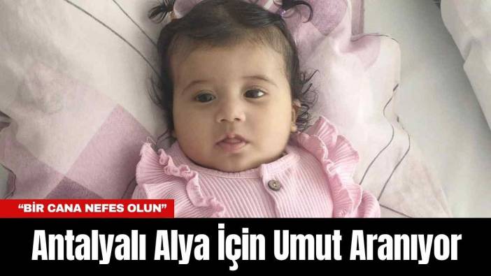 Antalyalı Alya İçin Umut Aranıyor