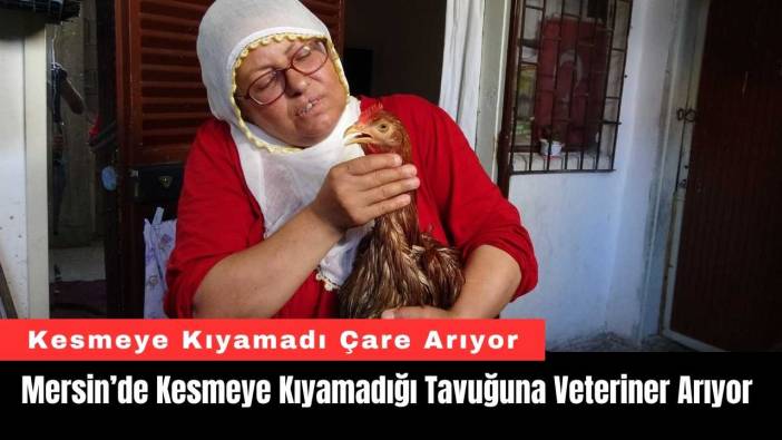Mersin’de Kesmeye Kıyamadığı Tavuğuna Veteriner Arıyor