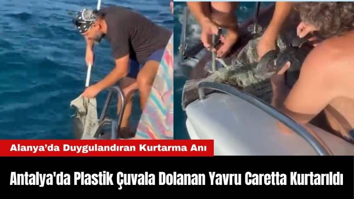 Antalya'da Plastik Çuvala Dolanan Yavru Caretta Caretta Kurtarıldı