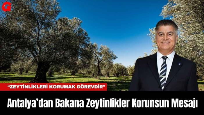 Antalya’dan Bakana Zeytinlikler Korunsun Mesajı