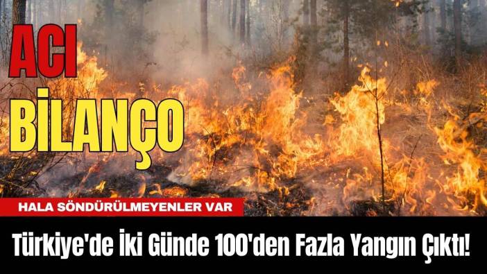 Türkiye'de İki Günde 100'den Fazla Yangın Çıktı! Hala Söndürülmeyenler Var