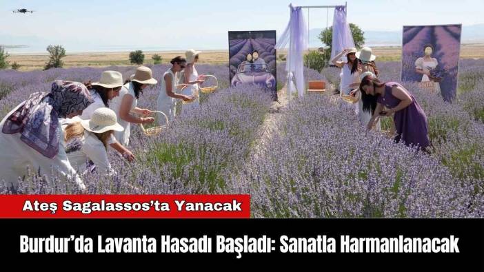 Burdur’da Lavanta Hasadı Başladı: Sanatla Harmanlanacak