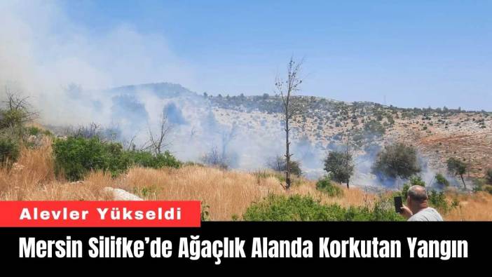 Mersin Silifke’de Ağaçlık Alanda Korkutan Yangın