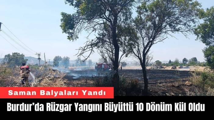 Burdur’da Rüzgar Yangını Büyüttü 10 Dönüm Kül Oldu