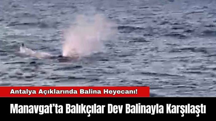 Manavgat’ta Balıkçılar Dev Balinayla Karşılaştı