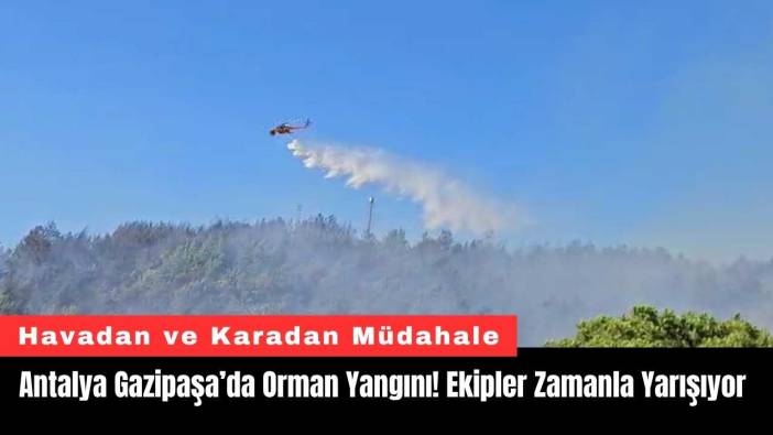 Antalya Gazipaşa’da Orman Yangını! Ekipler Zamanla Yarışıyor