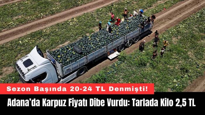 Adana’da Karpuz Fiyatı Dibe Vurdu: Tarlada Kilo 2,5 TL