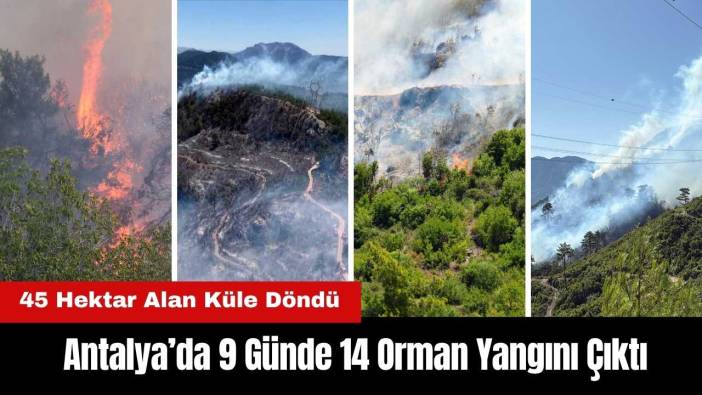Antalya’da 9 Günde 14 Orman Yangını! 45 Hektar Alan Küle Döndü