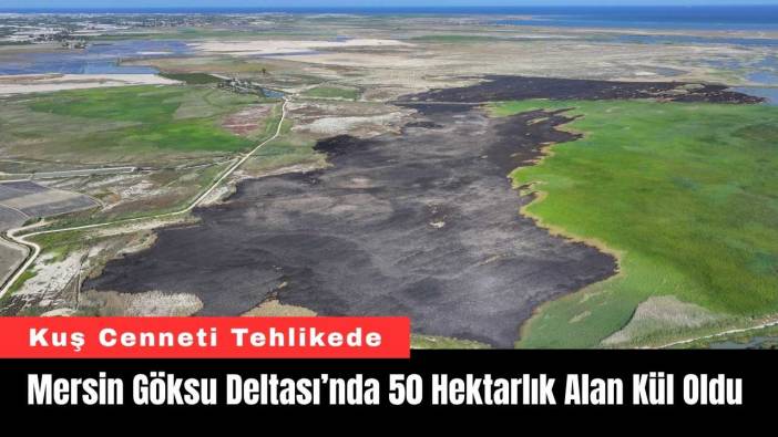 Mersin Göksu Deltası’nda 50 Hektarlık Alan Kül Oldu
