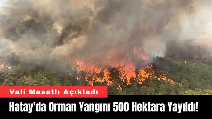 Hatay'da Orman Yangını 500 Hektara Yayıldı! Vali Masatlı Açıkladı