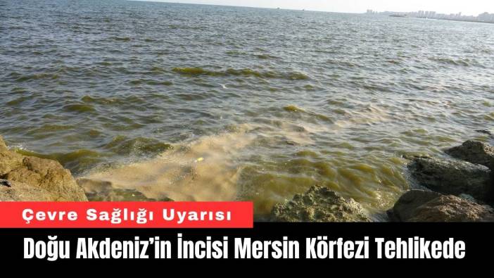Doğu Akdeniz’in İncisi Mersin Körfezi Tehlikede