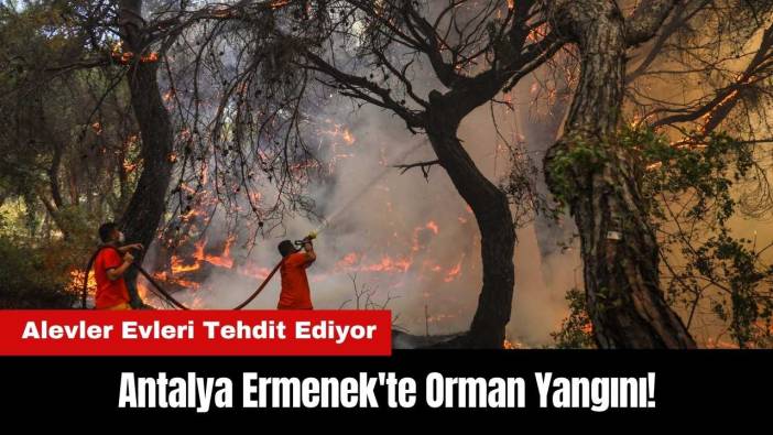 Antalya Ermenek'te Orman Yangını! Alevler Evleri Tehdit Etti
