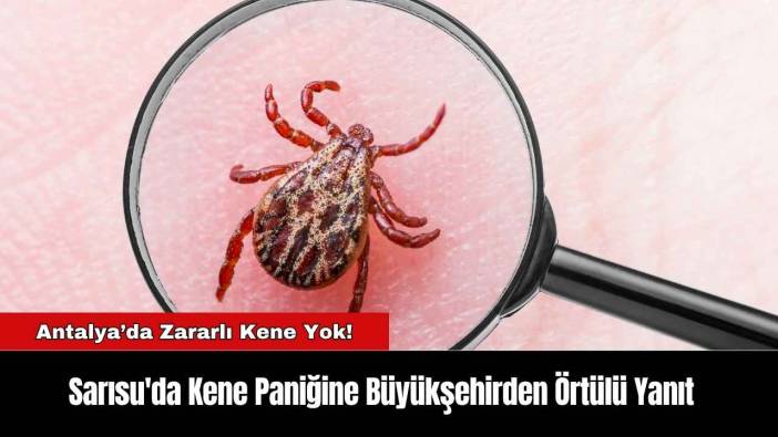 Sarısu'da Kene Paniğine Büyükşehirden Örtülü Yanıt