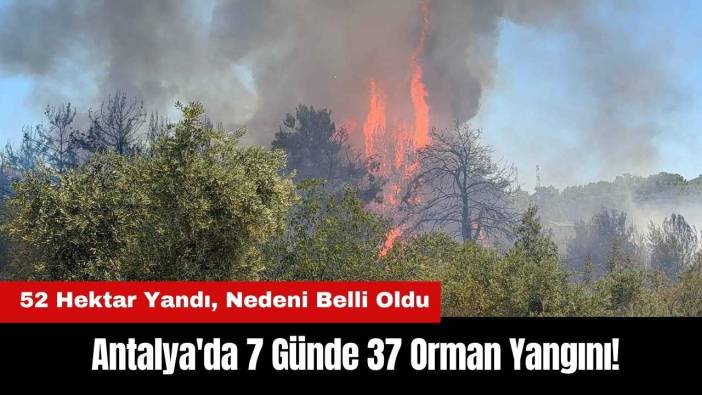 Antalya'da 7 Günde 37 Orman Yangını: 52 Hektar Yandı, Nedeni Belli Oldu
