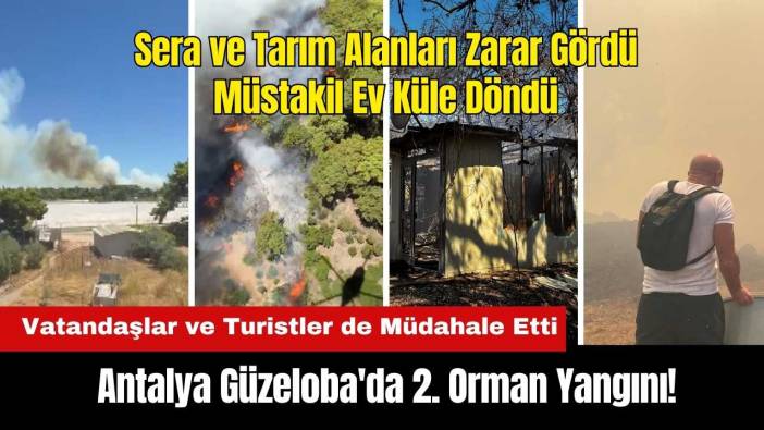 2 Gün Önce de Yanmıştı! Antalya Güzeloba'da 2. Orman Yangını Çıktı