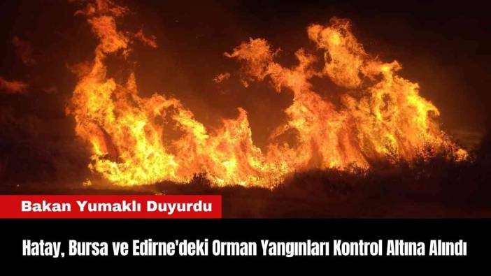 Hatay, Bursa ve Edirne'deki Orman Yangınları Kontrol Altına Alındı