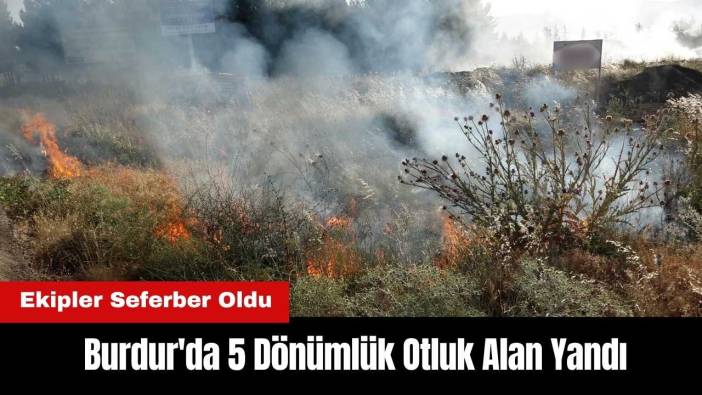 Burdur'da 5 Dönümlük Otluk Alan Yandı