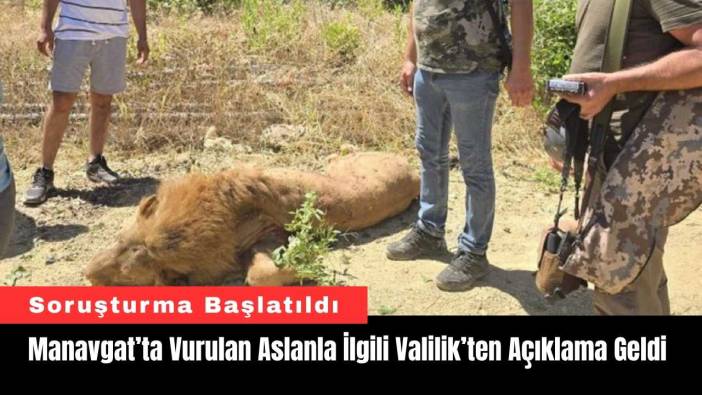 Manavgat’ta Vurulan Aslanla İlgili Valilik’ten Açıklama Geldi