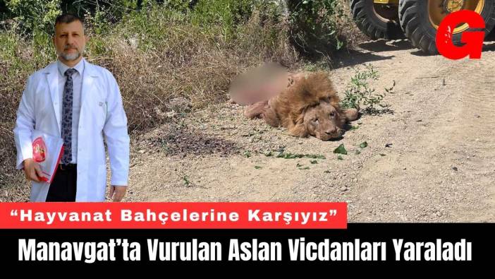 Manavgat’ta Vurulan Aslan Vicdanları Yaraladı