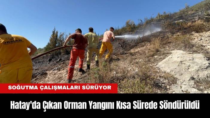 Hatay'da Çıkan Orman Yangını Kısa Sürede Söndürüldü