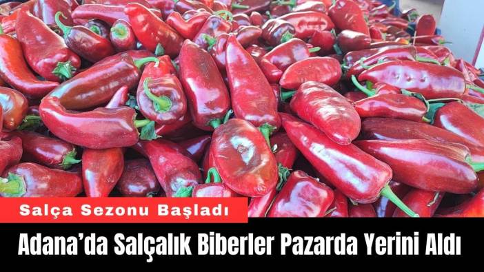 Adana’da Salçalık Biberler Pazarda Yerini Aldı