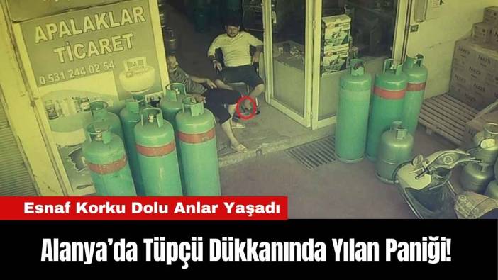 Alanya’da Tüpçü Dükkanında Yılan Paniği!