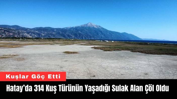 Hatay’da 314 Kuş Türünün Yaşadığı Sulak Alan Çöl Oldu