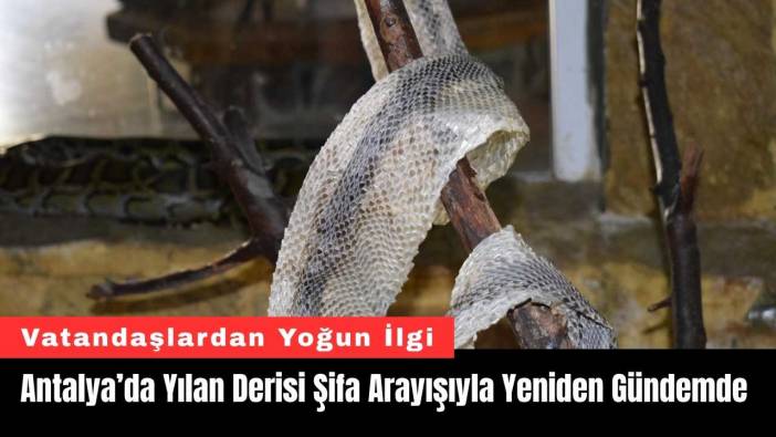 Antalya’da Yılan Derisi Şifa Arayışıyla Yeniden Gündemde