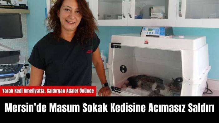 Mersin’de Masum Sokak Kedisine Acımasız Saldırı
