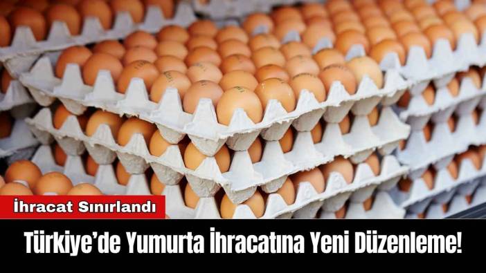 Türkiye’de Yumurta İhracatına Yeni Düzenleme!