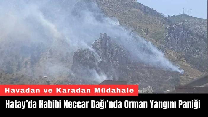 Hatay’da Habibi Neccar Dağı’nda Orman Yangını Paniği