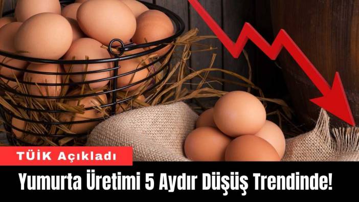 Yumurta Üretimi 5 Aydır Düşüş Trendinde! TÜİK Açıkladı