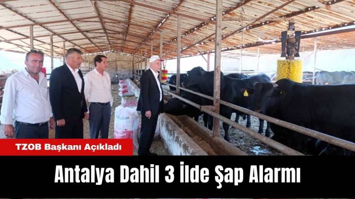 Antalya Dahil 3 İlde Şap Alarmı: TZOB Başkanı Açıkladı