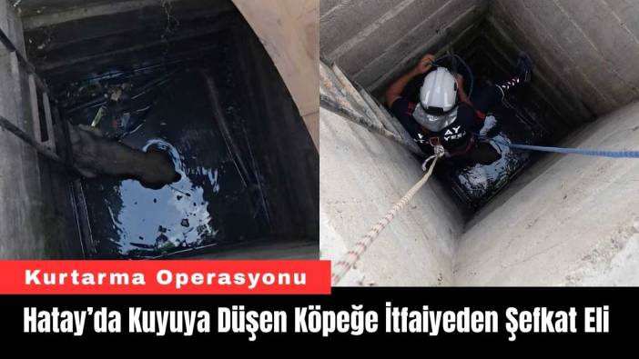 Hatay’da Kuyuya Düşen Köpeğe İtfaiyeden Şefkat Eli