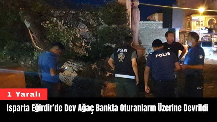 Isparta Eğirdir’de Dev Ağaç Bankta Oturanların Üzerine Devrildi