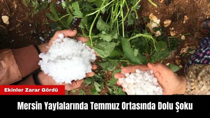 Mersin Yaylalarında Temmuz Ortasında Dolu Şaşırttı