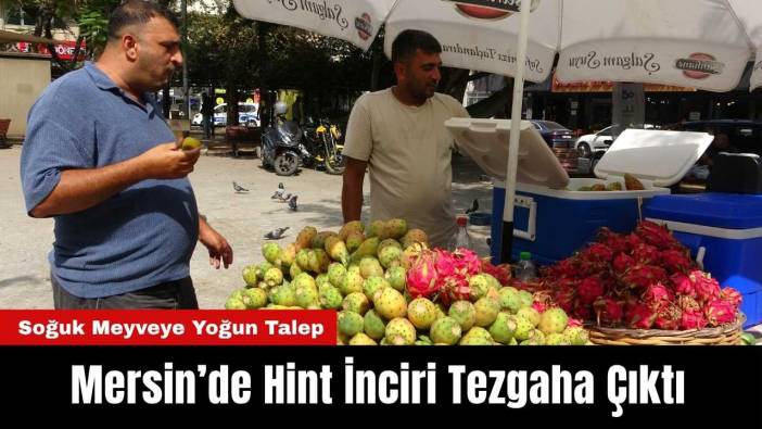 Mersin’de Hint İnciri Tezgahta: Soğuk Meyveye Yoğun Talep