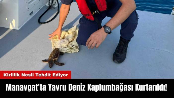 Manavgat'ta Yavru Deniz Kaplumbağası Kurtarıldı! Kirlilik Nesli Tehdit Ediyor